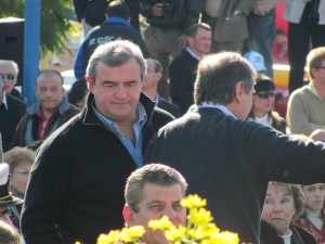 besozzi (5)