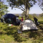 campalianza (22)