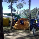 campalianza (26)