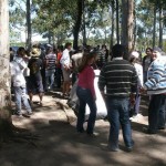 campalianza (46)