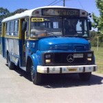 campalianza (76)