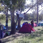 campalianza (78)