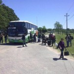 campalianza (79)