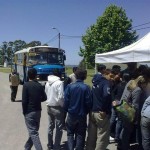 campalianza (81)