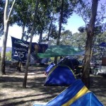 campalianza (84)