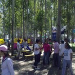 campalianza (98)