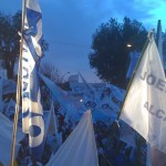 33 es una fiesta (14) 33 es una fiesta (14)