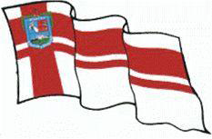 Bandera-Florida-2 Bandera-Florida-2